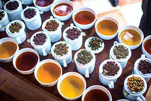 Ceylon Tea Tasting